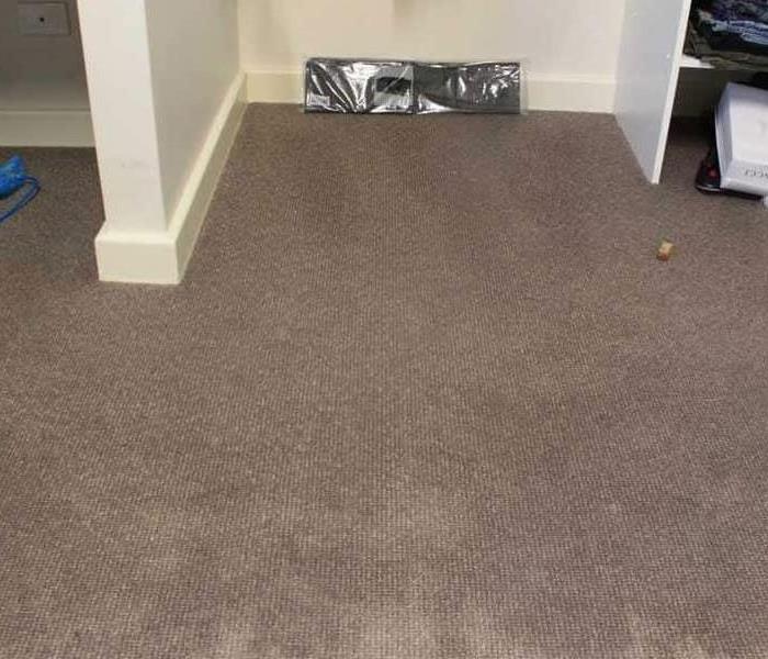 Office carpet that has been damaged by water