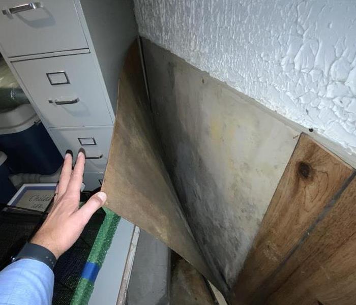 Uncovering Mold in a Peabody Home.